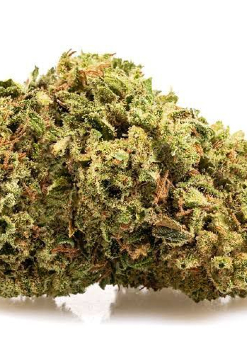 Bubble gum strain @500 per G